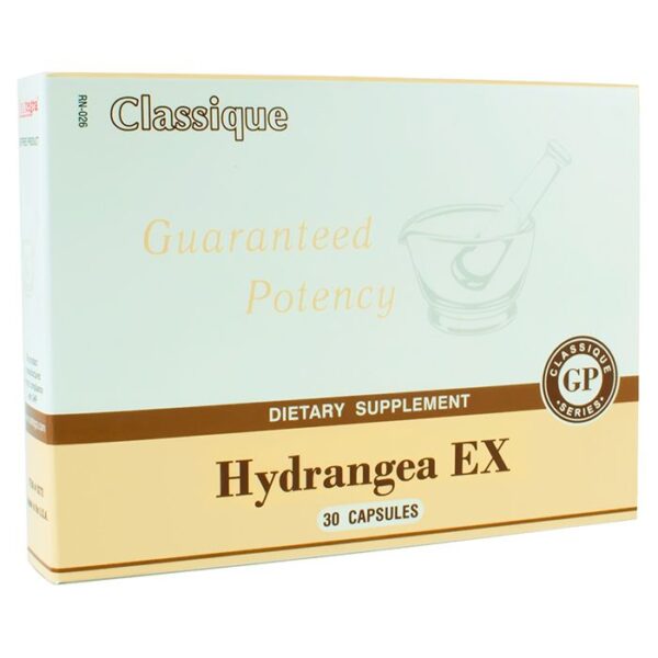 Hydrangea EX
